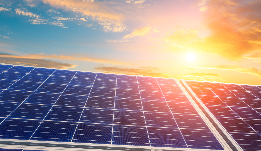 Navigating the Financial Horizon- The True Cost and Savings of Solar for South African Businesses