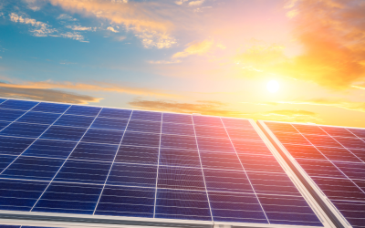 Navigating the Financial Horizon- The True Cost and Savings of Solar for South African Businesses